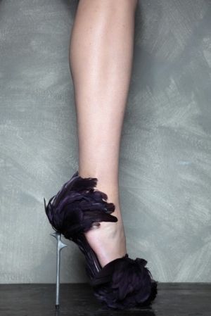 Photos of feathers - Luscious blog - feathery shoes.jpg